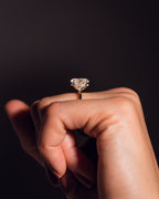 Harley - Ovaal | Goud